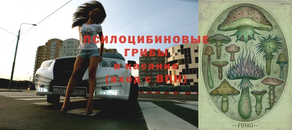 таблы Протвино