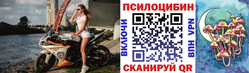 Галлюциногенные грибы мицелий  Елизово 